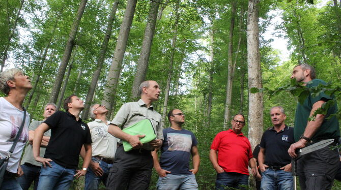 Waldumgang in Sonnenbühl-Genkingen: Wie sieht der Wald der Zukunft aus und warum sind die Folgen des Schneebruchs auch eine Chan