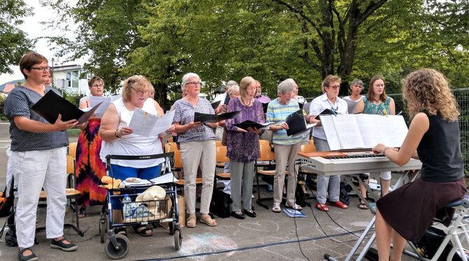 »Musik, Musik, Musik« lautete das Motto der diesjährigen Sommerserenade des Chors der Magdalenenkirche unter Leitung der Kantori