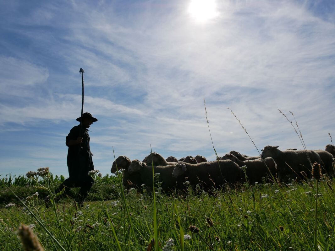 schäferlauf_urach_2019_fink_112