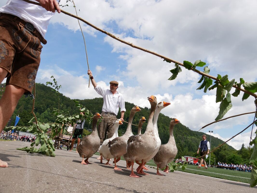 schäferlauf_urach_2019_fink_118