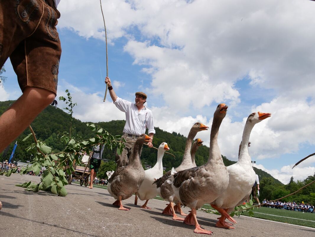 schäferlauf_urach_2019_fink_119