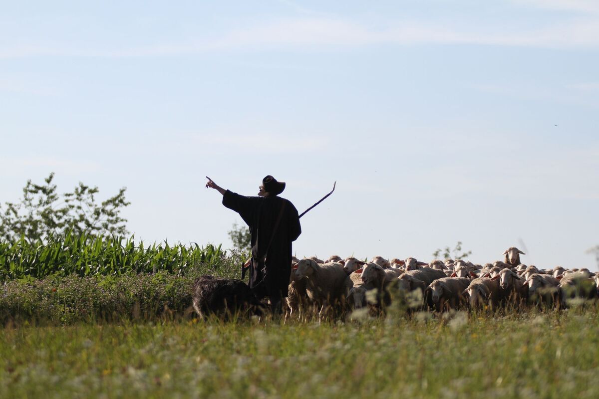 schäferlauf_urach_2019_fink_1