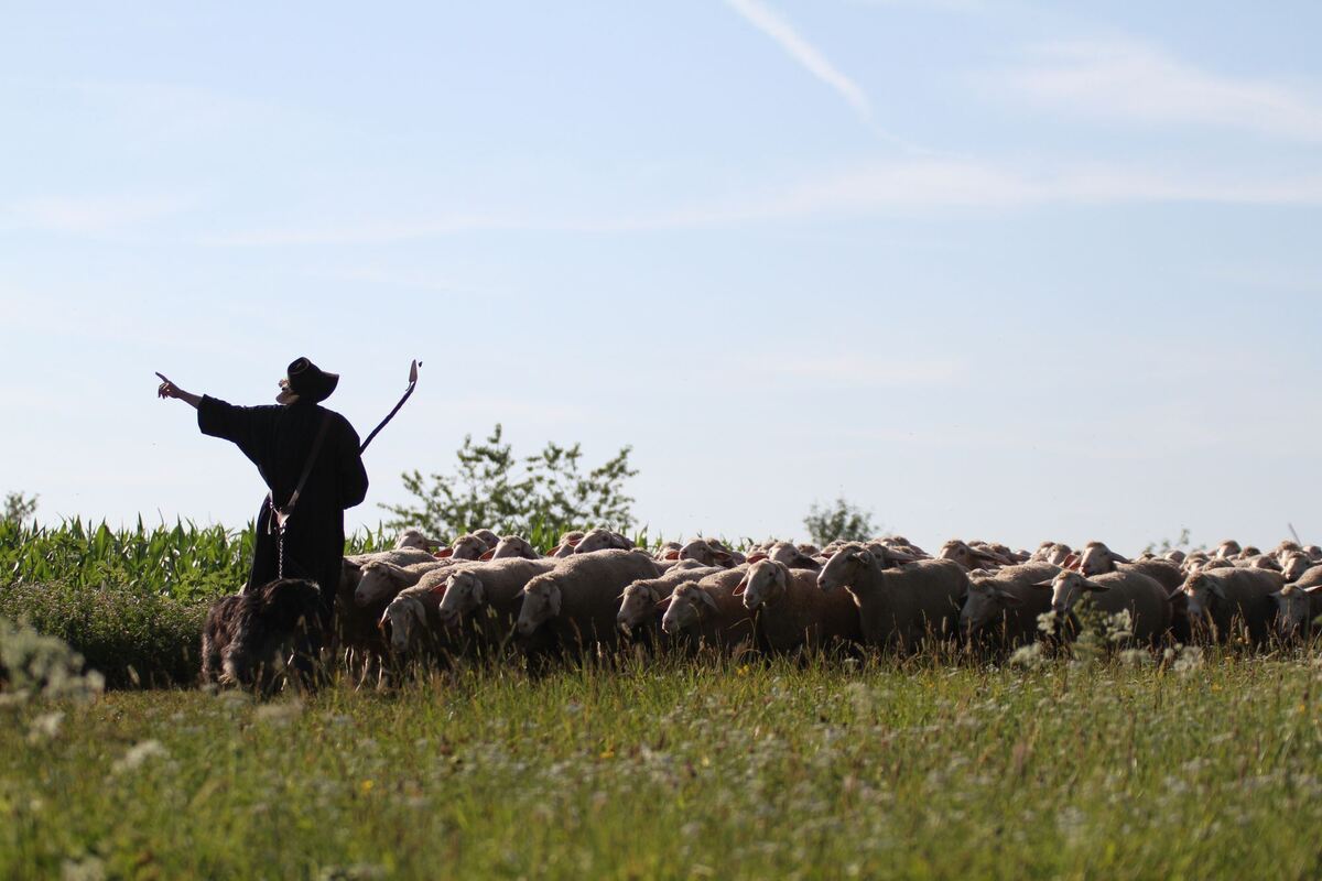 schäferlauf_urach_2019_fink_2