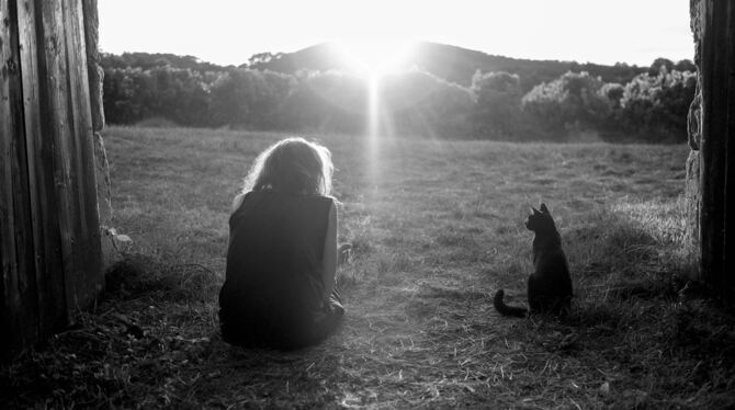 Heiner Kondschak mit seiner Katze im Abendlicht. Der Theatermacher hat Hunden und Katzen sowie ihren Haltern sein neues Stück ge