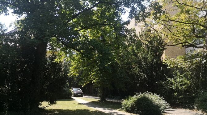 Parklandschaft zwischen Garten- und Kaiserstraße.  Foto: Conzelmann
