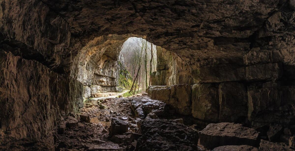 56757504_842040849464807_5702549222746750976_o