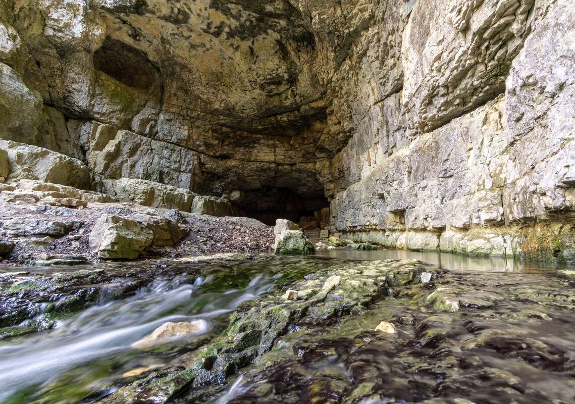 58383064_854113218257570_5995756894763876352_o