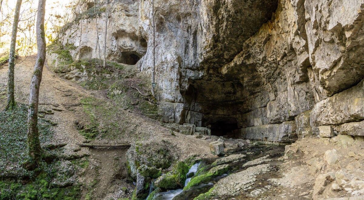 58461418_854113181590907_8235851608307531776_o