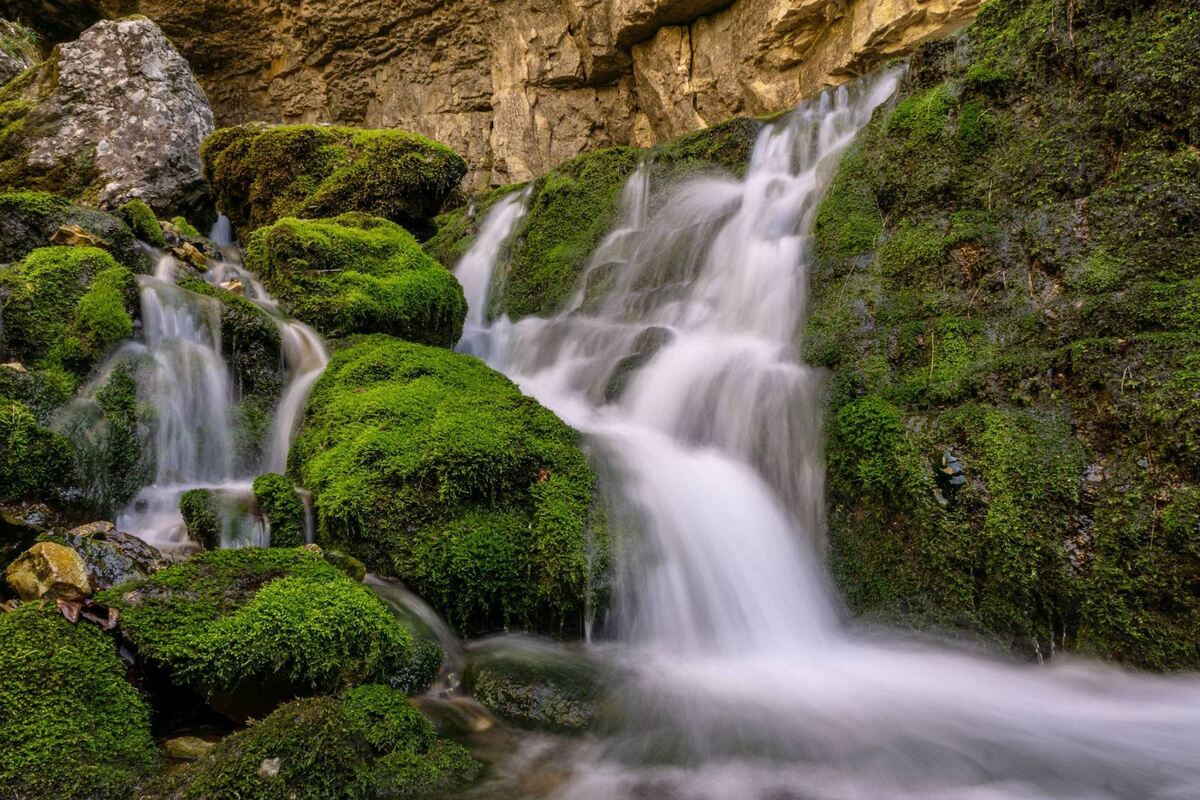 58619829_854113258257566_2678097862096584704_o