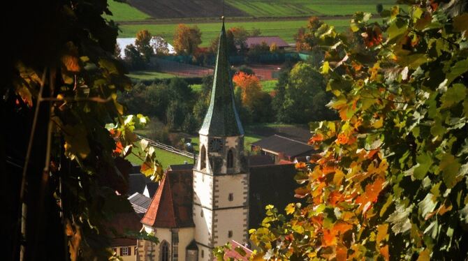 Der Blick vom Wengertwegle auf die Unterjesinger Kirche. FOTOS: Walderich