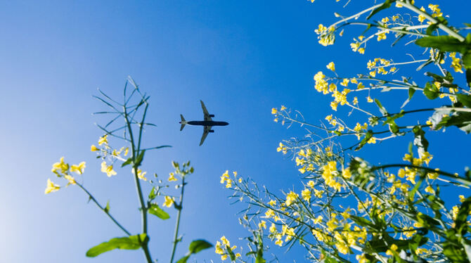 Der wachsende Flugverkehr gilt als herausragender Klimakiller. Auch in der Region wollen die Menschen die Zahl ihrer Flugreisen