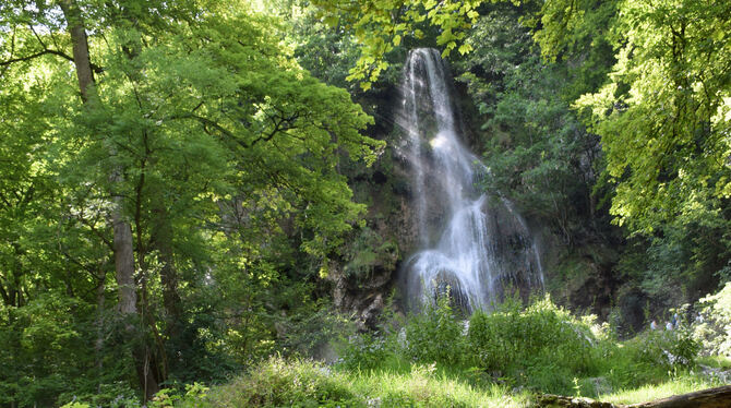Wirkt für viele Hundert Touristen täglich wie ein Magnet: der Wasserfall in seiner grünen Umgebung bei Bad Urach. Fotos: Krauth/