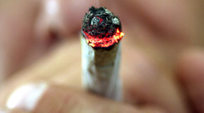 Die Linke will Cannabis in einem kontrollierten Rahmen entkriminalisieren.   ARCHIV-FOTO: DPA