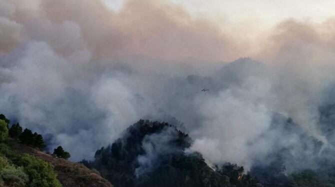 Waldbrand auf Gran Canaria