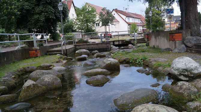 Die Fehlaquelle, neu gefasst, liegt mitten in Burladingen.