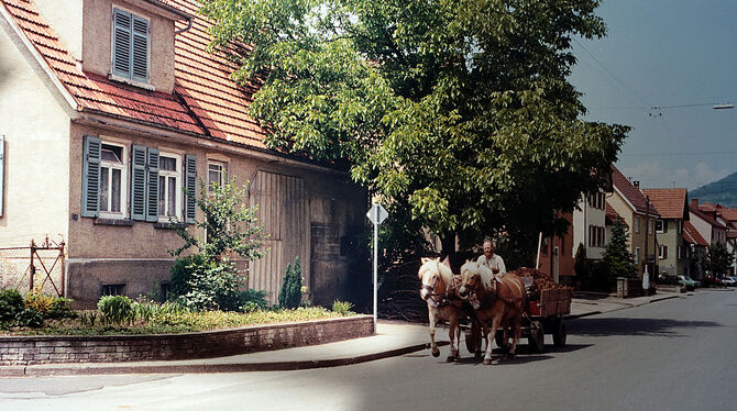 Ein Pferdegespann vor dem Haus von Karl Müller in der Hülbener Straße, das derzeit abgebrochen wird. foto: privat