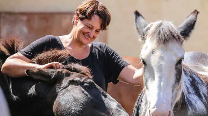 Die Kuschelstunde tut nicht nur den Tieren gut: Zeit mit den sensiblen Mulis zu verbringen, kann auch für Menschen eine wohltuen