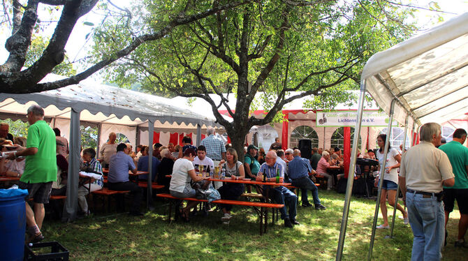Der Dorsach-Hock des Obst- und Gartenbauvereins ist auch wegen seines lauschigen Ambientes beliebt. Foto: Leippert