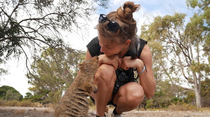 Melanie Maier trifft auf einer Insel vor Australien ein neugieriges Quokka, ein Kurzschwanzkänguru. Foto: Schulz