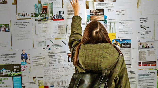 Wenn die Wohnungsnot aufs Höchste steigt: Eine Studierende im Blätterwald der Wohnungsanzeigen. Foto:Lichtgut/Piechowski
