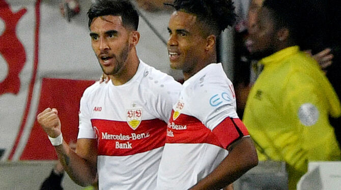 So sieht Freude aus: Die beiden Stuttgarter Torschützen Nicolas Gonzalez (links) und Daniel Didavi. foto: dpa