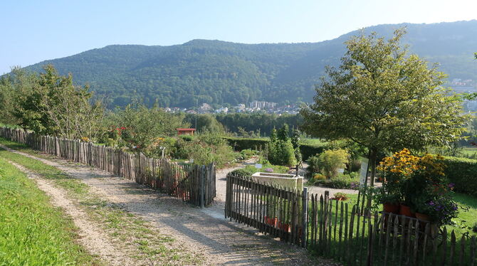 Der Schaugarten des Obst- und Gartenbauvereins in Bad Urach. foto: verein