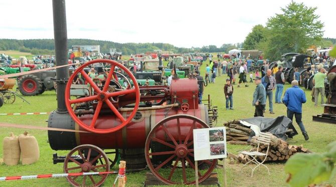 Oldtimer- und Bulldogfans kommen in Wilsingen voll auf ihre Kosten. Foto: Häbe Oldtimer- und Bulldogfans kommen in Wilsingen voll auf ihre Kosten. Foto: Häbe