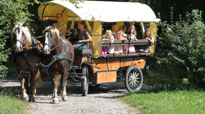 Gezogen von den Pferden Richie und Wodan von Paul Klett unternehmen zehn Mädchen eine im Ferienprogramm angebotene Kutschfahrt z