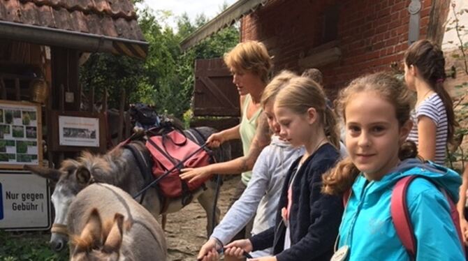 Aufbruch zur Eselwanderung: Sind auch alle Satteltaschen gepackt? Die Schülerinnen genossen ihre  Trekkingtour bei  der Zachersm