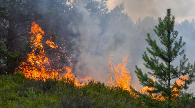 Waldbrände sorgen derzeit für große Beunruhigung. Je früher sie erkannt werden, desto größer ist die Chance, sie bekämpfen zu kö