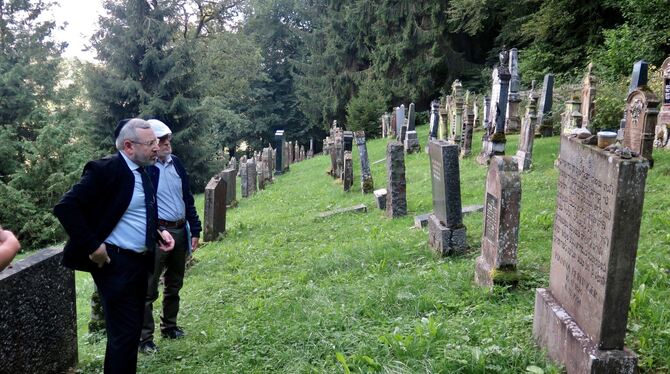 Naphtaly Berlinger auf dem jüdischen Friedhof in Buttenhausen. foto: Stadt