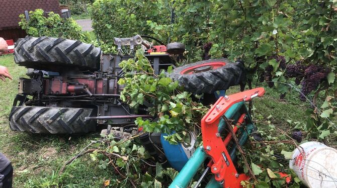Ein 47-jähriger Weingärtner wurde bei der Weinlese auf dem Weinberg bei Neuhausen von seinem eigenen Traktor überrollt und leben Ein 47-jähriger Weingärtner wurde bei der Weinlese auf dem Weinberg bei Neuhausen von seinem eigenen Traktor überrollt und leben