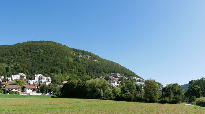 Unterhalb des Breitensteins und im Anschluss ans Kurgebiet in Bad Urach liegen die »Neuen Wiesen«. Rechts im Hintergrund ist der