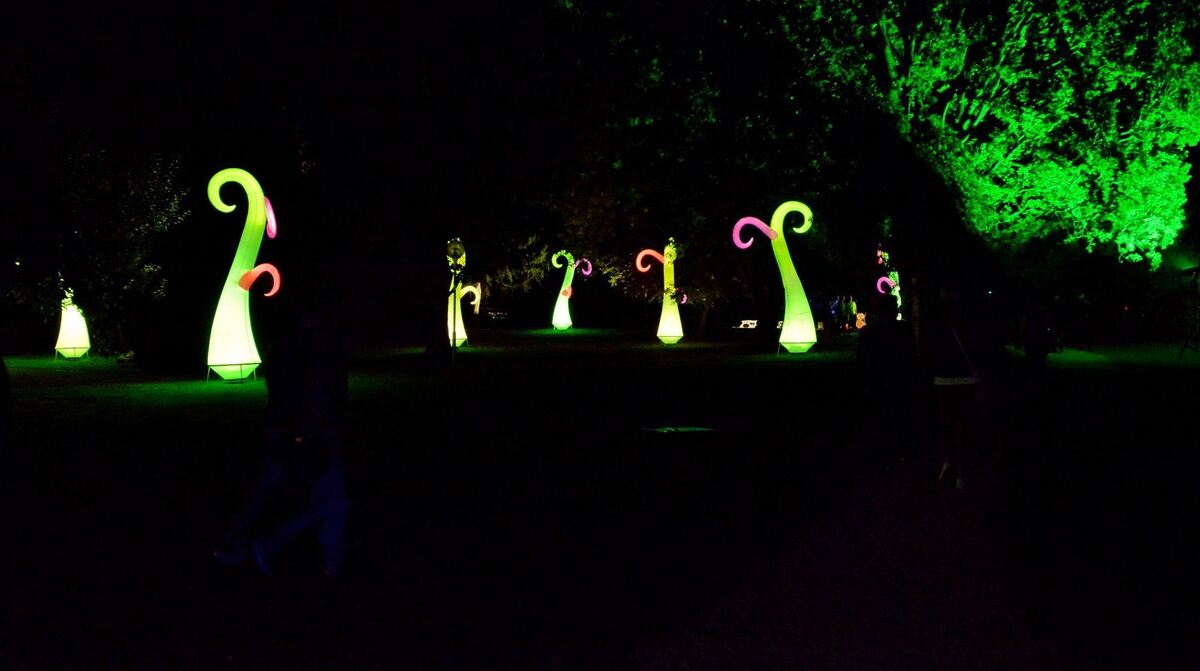 Kultur-2309-34KN-Pomo-Niethammer