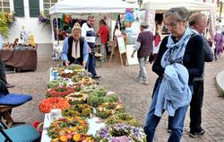 Bunte Blumen-Kreationen auf dem Markt.