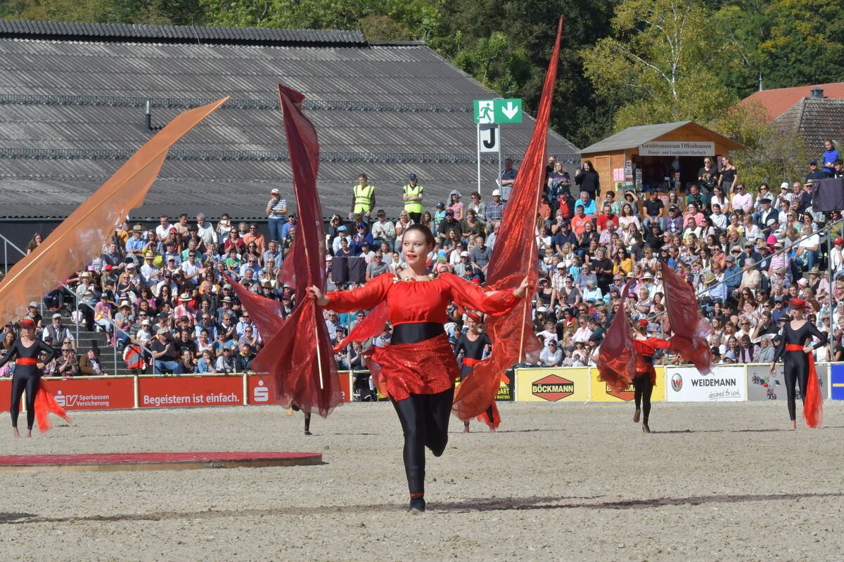 hengstparade_marbach_2019_meyer_34
