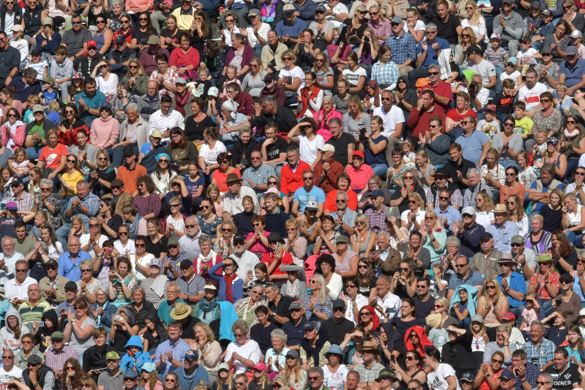 hengstparade_marbach_2019_meyer_36