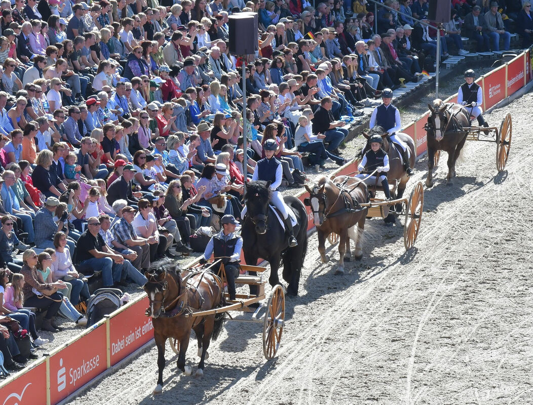hengstparade_marbach_2019_meyer_44