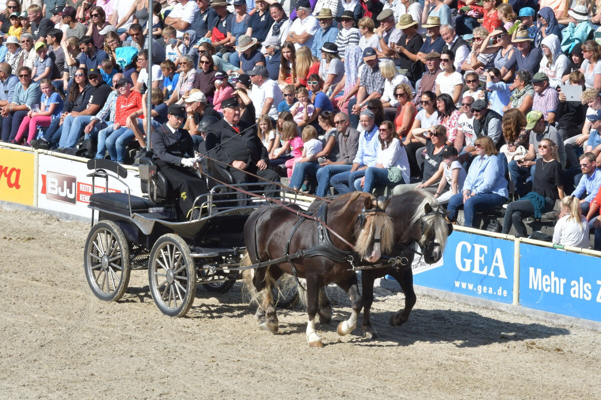 hengstparade_marbach_2019_meyer_45