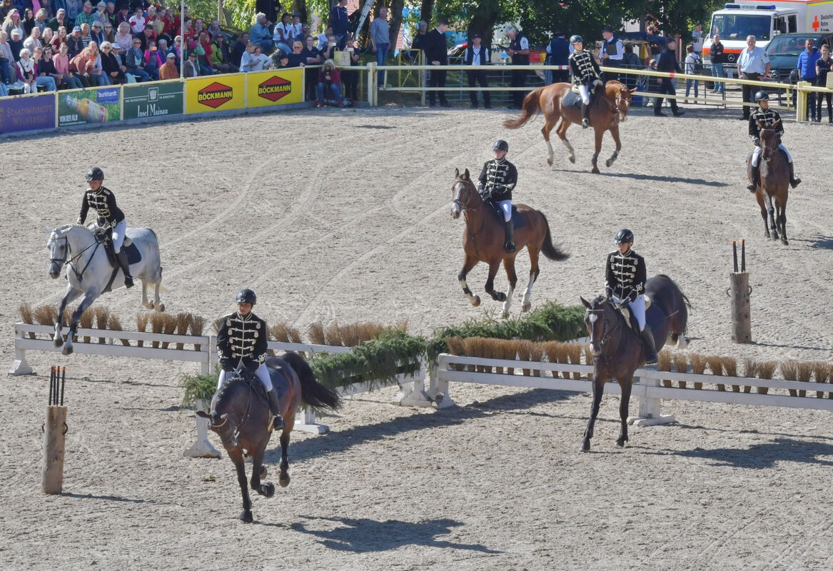 hengstparade_marbach_2019_meyer_47