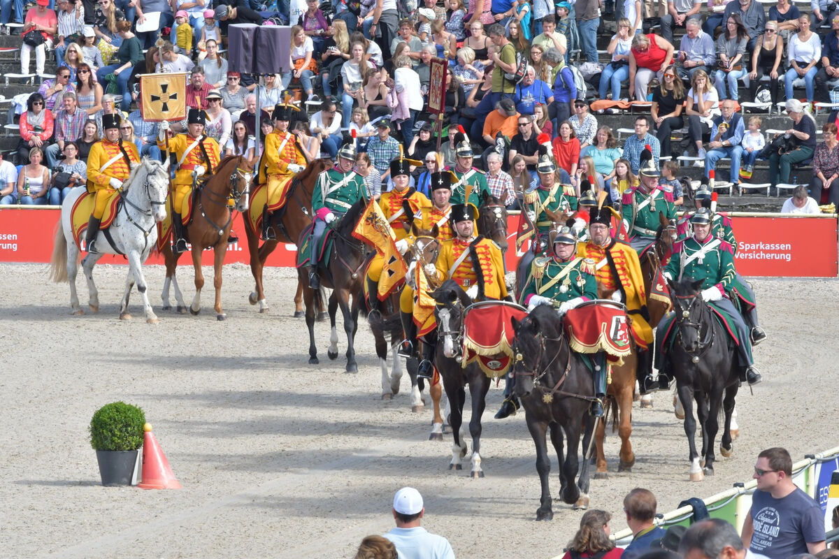 hengstparade_marbach_2019_meyer_1