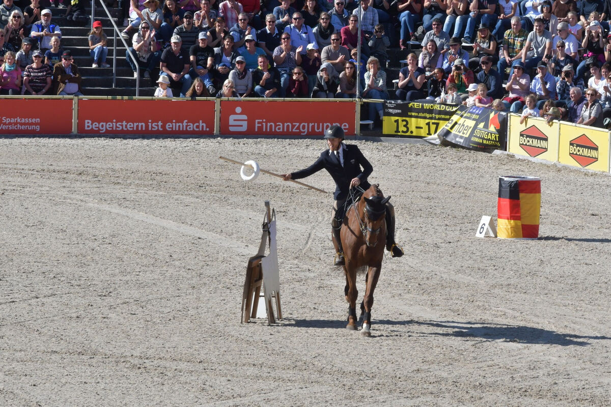 hengstparade_marbach_2019_meyer_4