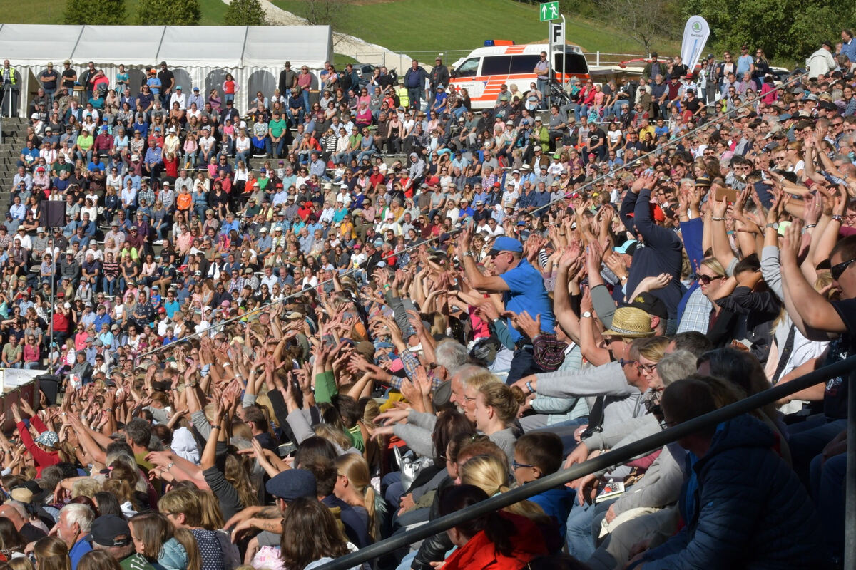 hengstparade_marbach_2019_meyer_6