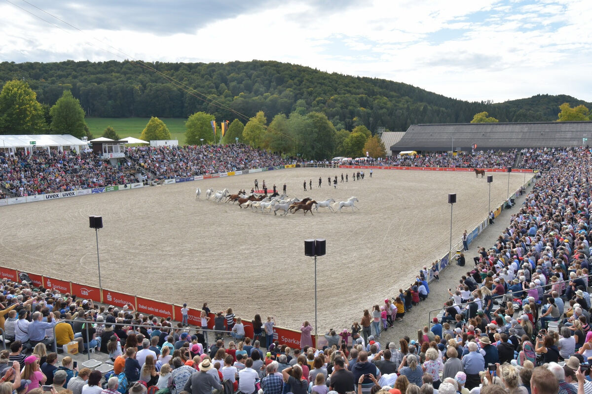 hengstparade_marbach_2019_meyer_16