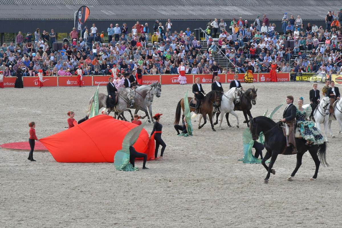 hengstparade_marbach_2019_meyer_18