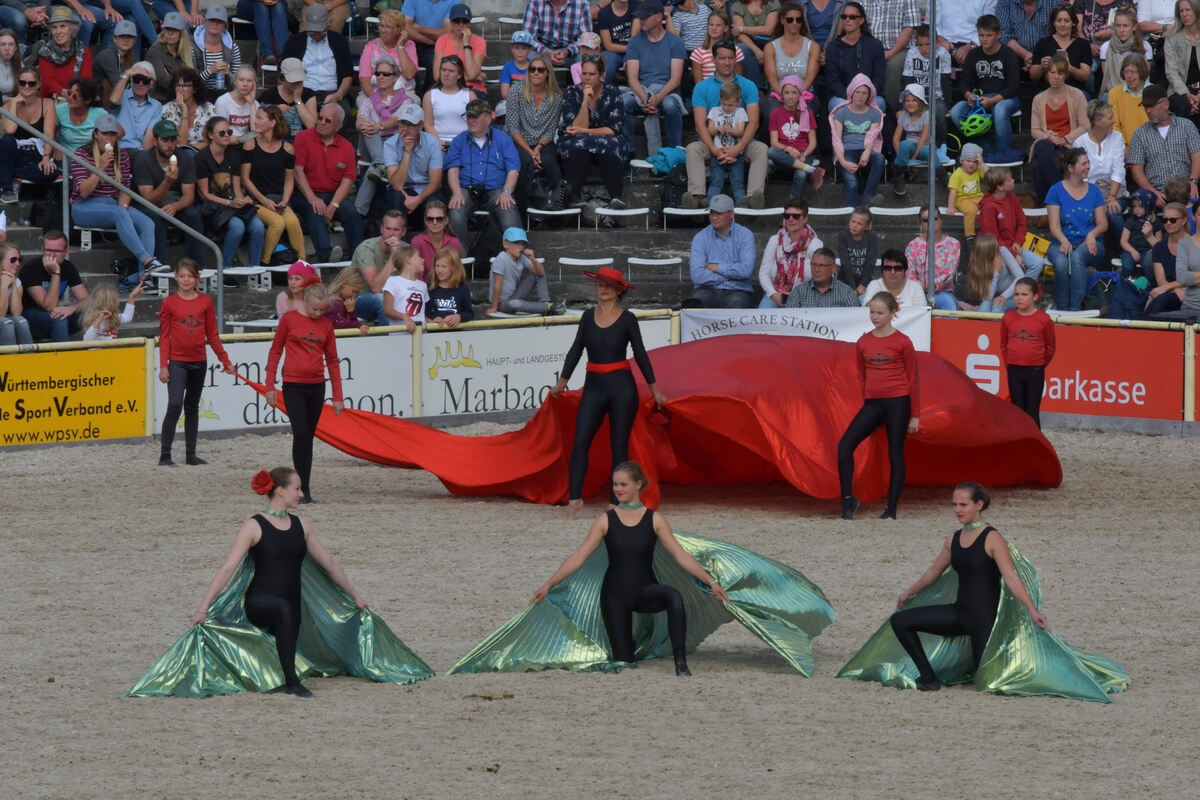 hengstparade_marbach_2019_meyer_19