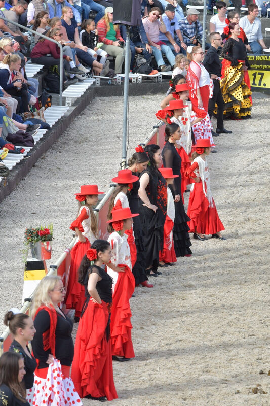 hengstparade_marbach_2019_meyer_20