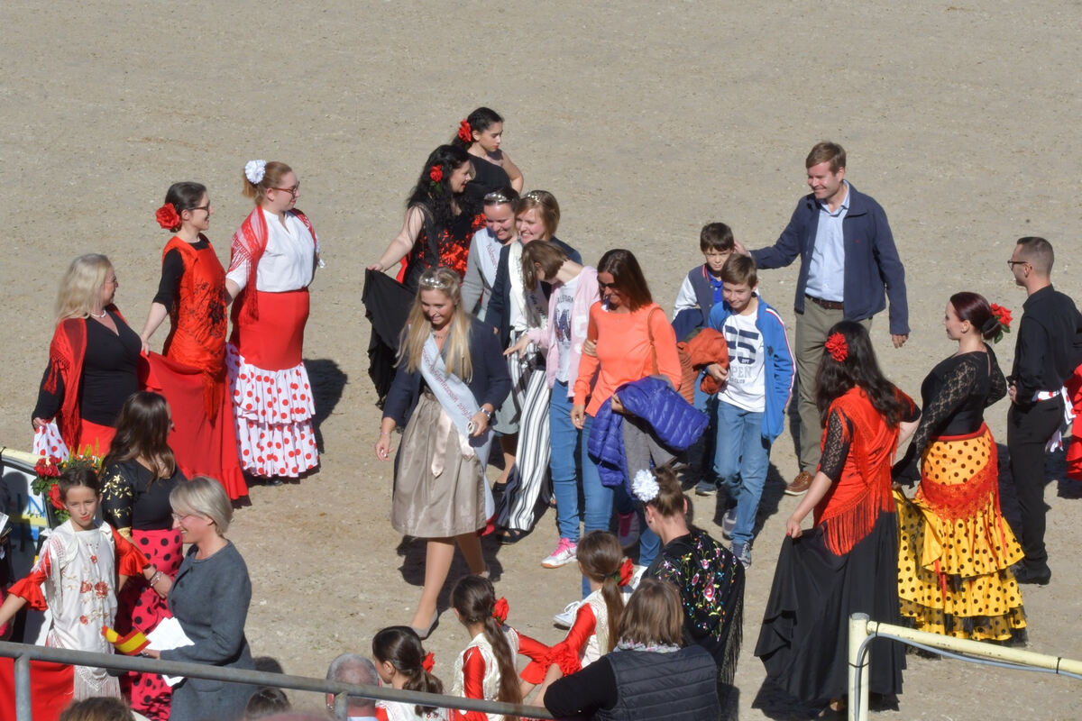 hengstparade_marbach_2019_meyer_27