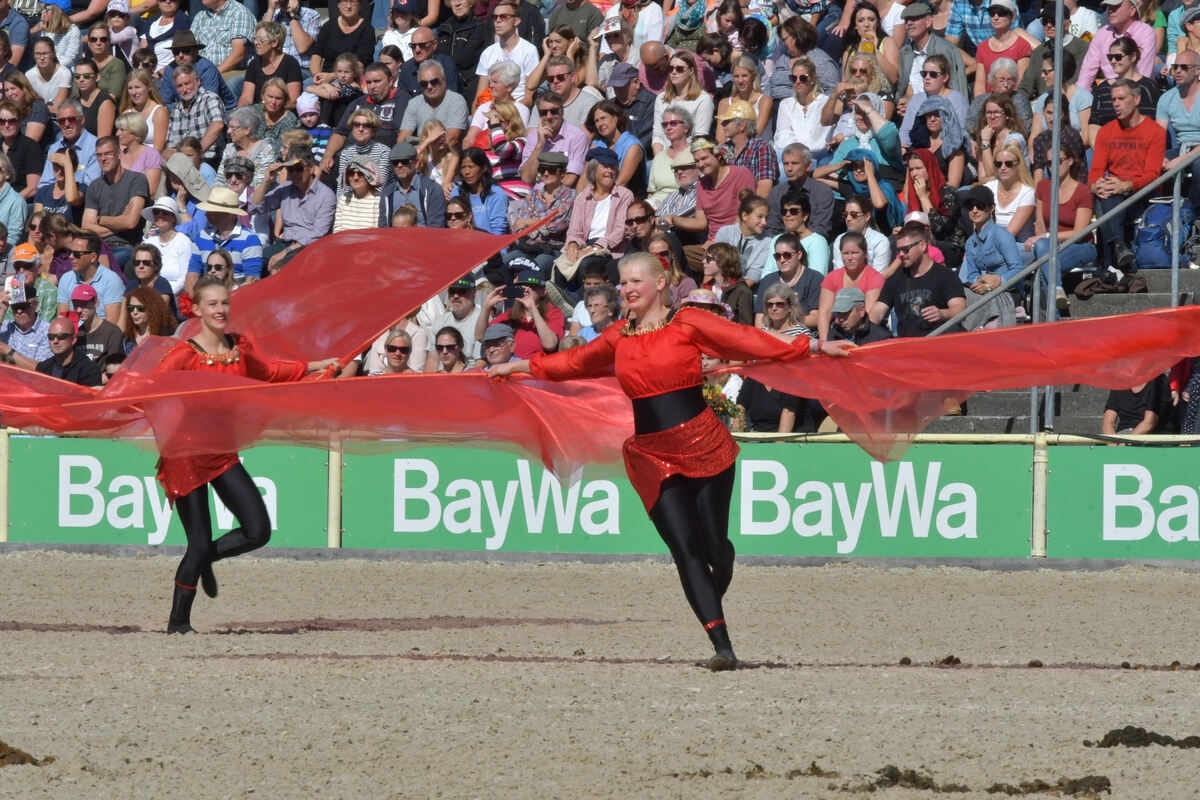 hengstparade_marbach_2019_meyer_32