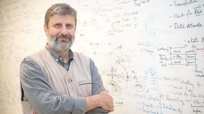 Andrei Lupas, geschäftsführender Direktor des Friedrich-Miescher-Laboratoriums, im Tübinger Labor. fotos: Gollnow